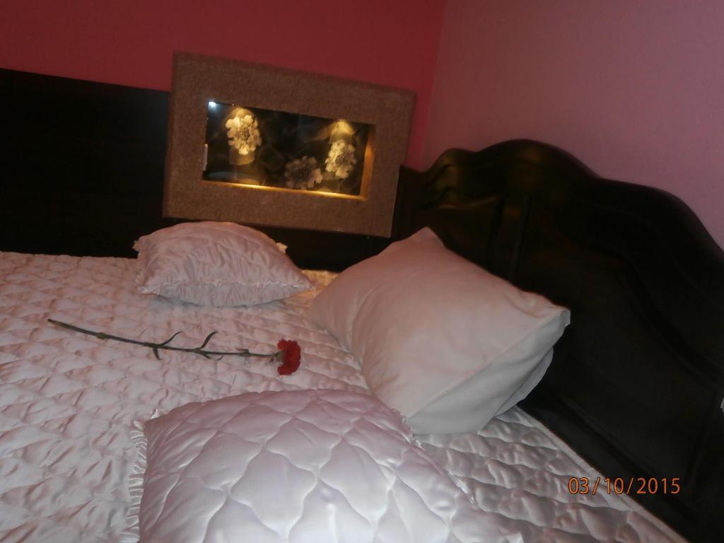 Hotel Vila Mitic Luxx Spa Centar Leskovac  Dış mekan fotoğraf